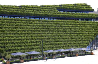 Climate protection. Europe's largest green façade 30, 000 young hornbeams thrive on the roof and