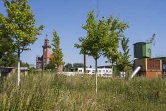 Historic crane and old harbour office, harbour, Dortmund, Ruhr area, North Rhine-Westphalia,