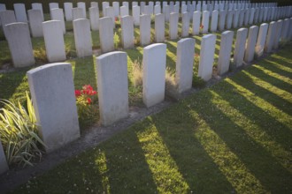 Flowers, gravestones, war graves, soldiers' graves, military cemetery, First World War, Church of
