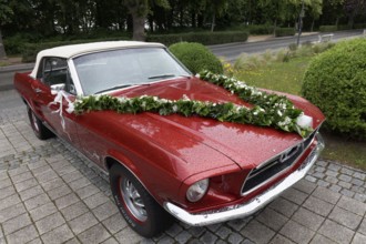1965 Ford Mustang Cabriolet, decorated as a wedding car, Kühlungsborn, Baltic Sea,
