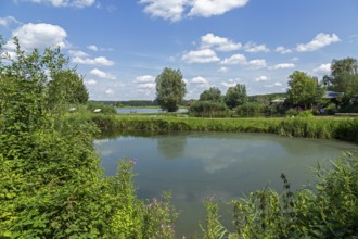 Fish ponds, Fischers Land Boek, Mecklenburg Lake District, Mecklenburg-Western Pomerania, Germany