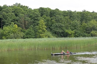 Canoe, Zotzensee, Mecklenburg Lake District, Mecklenburg-Western Pomerania, Germany