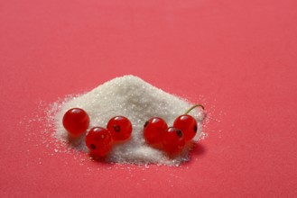 Redcurrants and piles of sugar