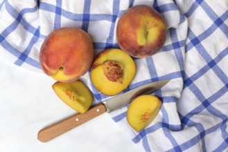 Peach with knife on kitchen towel, peach halves, Prunus persica