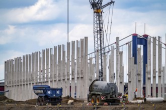 Construction of a new logistics hall on the Mercatroinsel, Hall 2, next to an existing hall, approx