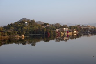 Swaroop Sagar Lake in the morning light, Udaipur, Rajasthan, India