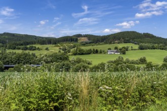 Landscape along the Sauerlandring cycle path, an 84 km long circular cycle path between the towns