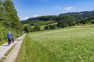 Sauerlandring cycle path, an 84 km long circular cycle path between the towns of Finnentrop,