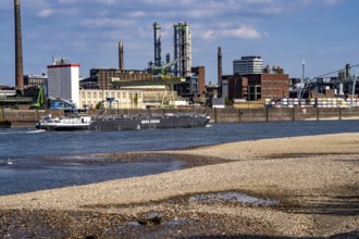Low water of the Rhine near Leverkusen, Rhine bank, left bank of the Rhine, near Cologne-Merkenich,