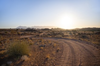 Sandy track, desert landscape in the evening light at sunset, backlit, Brandberg, Erongo,