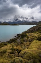 Cloudy mountain range Cuernos del Paine, shore of the blue lake Lago Pehoe in the evening light,