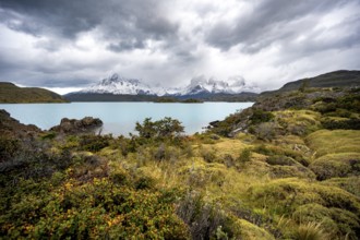 Cloudy mountain range Cuernos del Paine, shore of the blue lake Lago Pehoe in the evening light,