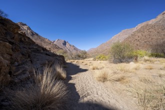 Tsisab Gorge, White Lady Trail, desert landscape, Brandberg, Erongo, Damaraland, Namibia