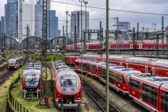 Bridge at Camberger Straße, Galluswarte, Deutsche Bahn, tracks and trains with the skyline of