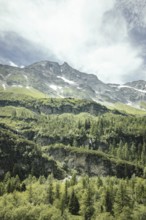View of the Hoher Sonnblick, Rauris, Pinzgau, Salzburg, Austria
