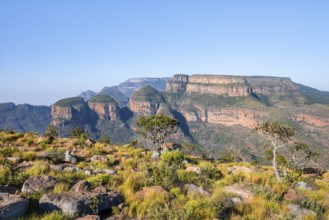 Blyde River Canyon with Three Rondawels peak, view of canyon and table mountains, canyon landscape,