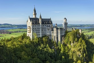 Neuschwanstein Castle by King Ludwig II above the Pöllat Gorge, fairytale castle in the