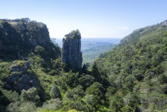 Rock needle in a densely forested canyon, Pinnacle Rock, view over canyon landscape, near Graskop,