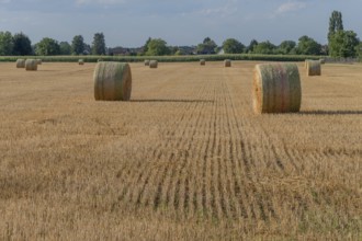 Large round barns are scattered across a golden field, framed by vibrant green trees under a partly