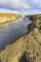 River Jökulsa a Fjöllum flows through canyon, Selfoss waterfall on the horizon, evening sun, North