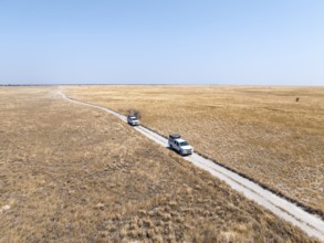 Two off-road vehicles drive on a sandy track through a vast dry landscape with yellow grass, Sowa