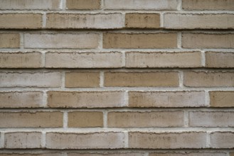 Light brown facade, wall, brick, wallpaper