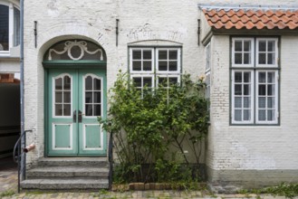 Roses in front of an old house, lattice window, Old Town, Husum, North Frisia, Schleswig-Holstein,