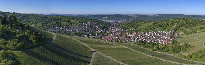 Wide angle panorama with a village surrounded by vineyards and lush hills, Uhlbach, near Stuttgart,