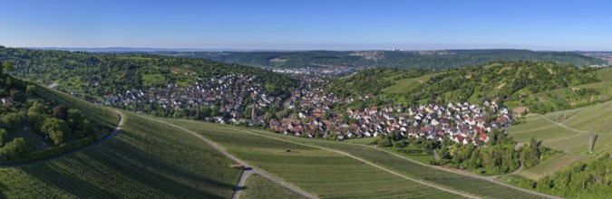 Widescreen panorama of a village surrounded by vineyards and green hills, Uhlbach, near Stuttgart,