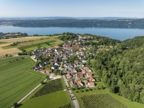 Luftbild vom Bodensee mit der Ortschaft Hödingen, am Horizont der Bodanrück, Überlingen,