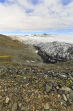 Skálafellsjökull, Skalafellsjökull, glacier tongue of Vatnajökull, volcanic landscape Breiðabunga,