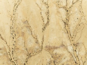 Arid desert plain and dried-up river beds with sparse vegetation. Aerial view. Drone shot. Gondwana