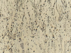 Arid desert plain and dried-up riverbeds with sparse vegetation. Aerial view. Drone shot. Namibia