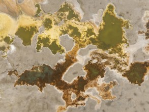 Salt marsh at the Skeleton Coast. Aerial view. Drone shot. Dorob National Park, Namibia