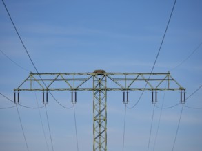 An osprey nest on a power pole, Mecklenburg-Western Pomerania, Müritz region, Germany