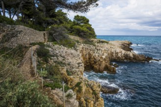 Picturesque wild hiking trail on the coast, Sentier du Littoral, Cap d'Antibes, Antibes, Provence