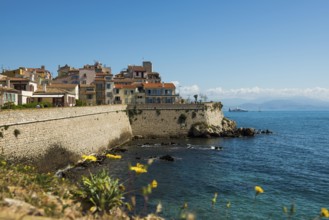 Picturesque town by the sea, Antibes, Provence Alpes Côte d'Azur, South of France, France