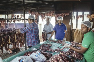 Traditional camel restaurant in Salalah, Dhofar, Oman