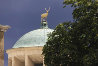 Art building on Schlossplatz designed by architect Theodor fisherman. A golden stag stands on the