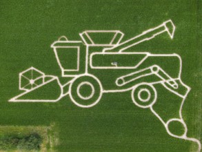 The maize maze of the Maize Spirits near Weißkirchen, near Frankfurt am Main, shows a combine