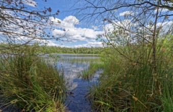The Bullensee is located in a moorland area and is part of the Bullensee and Hemelsmoor nature