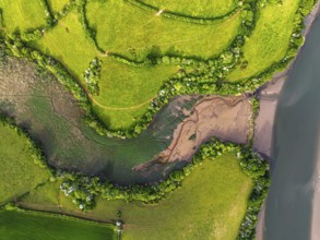 Top Down over Marshes over River Dart from a drone, Stoke Gabriel, Totnes, Devon, England, United