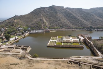 Gardens in the Amber Fort or fortress, Jaipur, Rajasthan, India