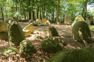 Erratic blocks in the Neuenknick erratic block forest in the Teutoburg Forest. Around 2000 of the