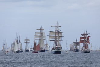 Sailing ships, windjammer parade, Kieler Woche, Kiel Fjord, Kiel, Schleswig-Holstein, Germany