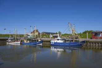Fishing boats in the harbour of Tammensiel, Pellworm Island, North Frisia, North Sea, North Frisia,