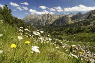 Mountain landscape in the Aigüestortes i Estany de Sant Maurici National Park, Catalonia, Spain