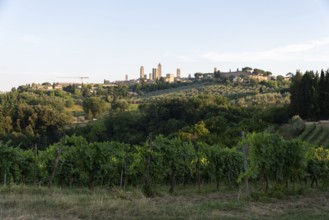 San Gimignano, also known as Medieval Manhattan, UNESCO World Heritage Site, San Gimignano,