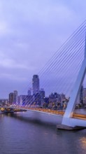 Panoramic view of Erasmus Erasmusbrug bridge in Rotterdam . Financial business district skyline