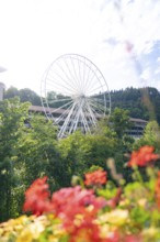 Colourful flowers in front of a large Ferris wheel in a green landscape, Ferris wheel construction